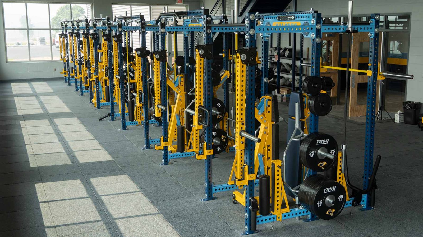 An image of a row of weight equipment machines.
