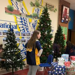Students set up and stage Christmas trees.
