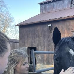 A student pets a horse.
