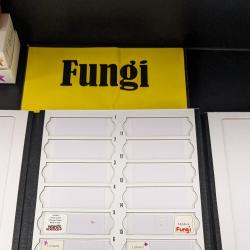 An image of slides with cells categorized as "Fungi."
