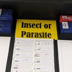 An image of slides with cells categorized as "Insect" or "Parasite."