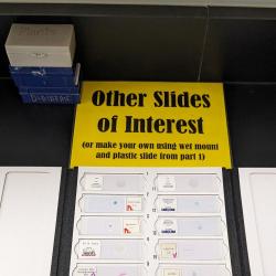 An image of slides with cells categorized as "Other Slides of Interest."