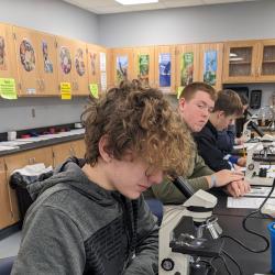 Students look into microscopes.