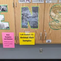 An image of a lab station set up for students' use.